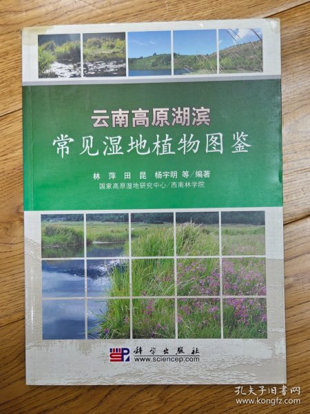 云南高原湖滨常见湿地植物图鉴