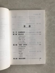 南街村----中国名村纪实