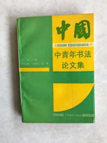 中青年书法论文集