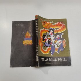 在龙的土地上