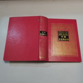 中国小百科全书6 文学与艺术