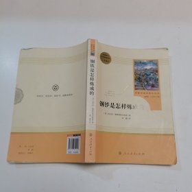 统编语文教材配套阅读 八年级下：钢铁是怎样炼成的/名著阅读课程化丛书