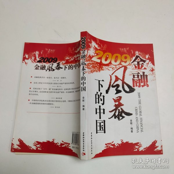 2009金融风暴下的中国