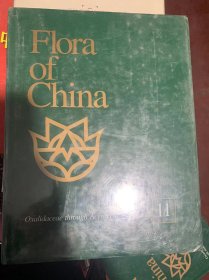 Flora of china 13