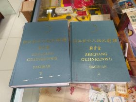 浙江古今人物大辞典上下册