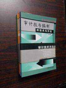 审计技术方法丛书（全五册）