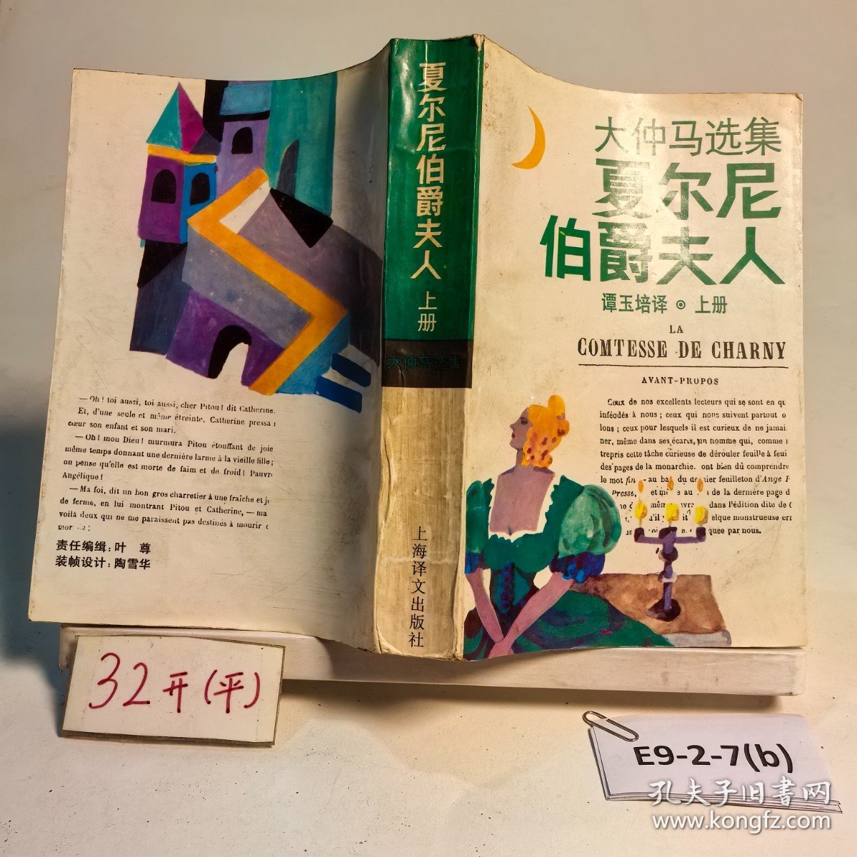 夏尔尼伯爵夫人（上册）