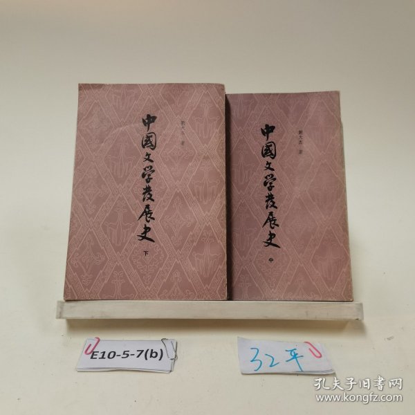 中国文学发展史 中下(两本合售)