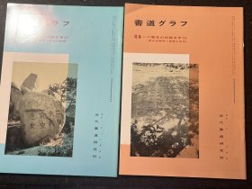 书道特集六朝刻经文字（一）（二） 泰山金刚经与徂徕山刻石、岗山摩崖及匡喆刻经颂2册