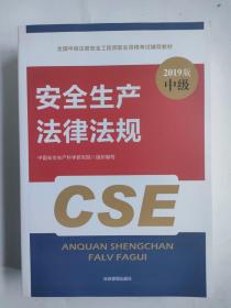 教材安全生产法律法规全国中级注册安全工程师职业资格考试辅导教材2019版