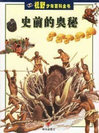 史前的奥秘——视野少年百科全书意卡拉达王滨滨吴延俊山东明天图书发行中心9787533235581