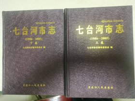 七台河市志1986-2005