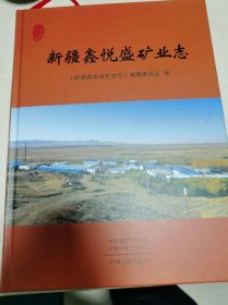 新疆鑫悦盛矿业志