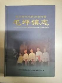 四川省峨边彝族自治县毛坪镇志（32-F）