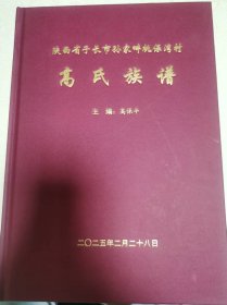 高氏族谱