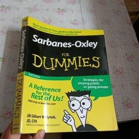 Sarbanes-Oxley For Dummies