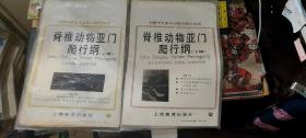 初级中学课本动物教学挂图-脊椎动物亚门爬行纲【上下辑】共11幅挂图