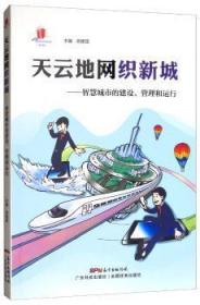 天云地网织新城：智慧城市的建设、管理和运行