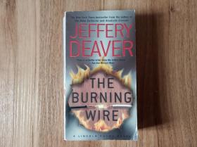 英文原版 The Burning Wire 燃烧的电缆