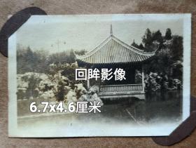 WGC：1928年鄞籍实业家汪国瑃等人在上海江湾叶家花园聚会照片13张合售