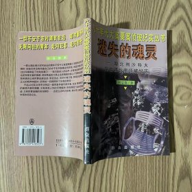 迷失的魂灵--湖北荆沙特大抢劫团伙案侦破纪实