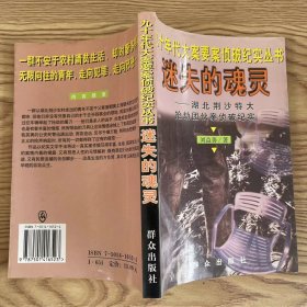 迷失的魂灵--湖北荆沙特大抢劫团伙案侦破纪实