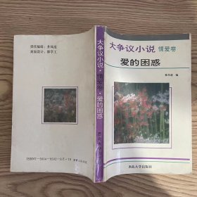 爱的困惑--大争议小说·情爱卷