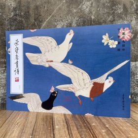 新书现货 荣宝斋画谱252于非闇绘工笔花鸟部分牡丹白描写生造稿梅兰竹菊果蔬水仙杜鹃朱雀画集画册图册艺术美术资料临摹范本图书籍