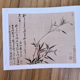 荣宝斋画谱古代部分63吴镇山水花卉墨竹谱 荣宝斋出版艺术图册画集画册美术绘画素材临摹范本画稿图书籍
