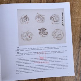 新书 百猫图集 雨新 方工绘画集 荣宝斋出版 画册美术艺术图册资料图书籍