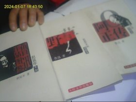 赵延年人文版木刻插图本全套（鲁迅作品图鉴 野草 故事新编 狂人日记  阿Q正传 ）精美木刻作品多多 相当于连环画 包快递