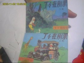 丁丁在刚果连环画  上下 好品 优惠价