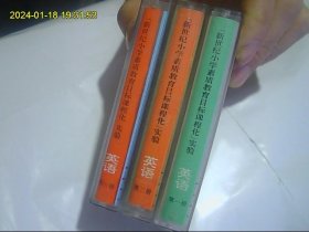 英语 （第一、二、四册）新世纪小学素质教育目标课程化实验 3盒开封合购 包快递