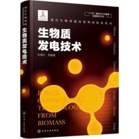 现代生物质能高效利用技术丛书--生物质发电技术