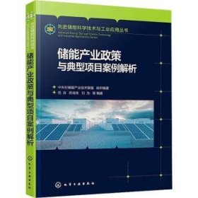 全新正版图书 储能产业政策与典型项目案例解析岳芬化学工业出版社9787122428080