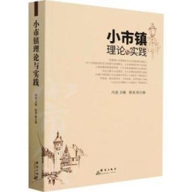 全新正版图书 小市镇理论与实践冯奎群言出版社9787519308308