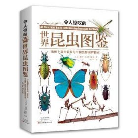 全新正版图书 令人惊叹的世界昆虫图鉴保罗·兹波罗夫斯基河南科学技术出版社9787572512780