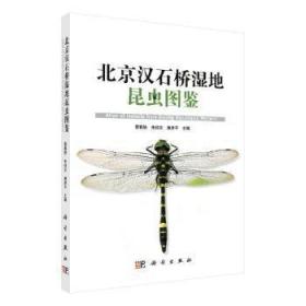 北京汉石桥湿地昆虫图鉴