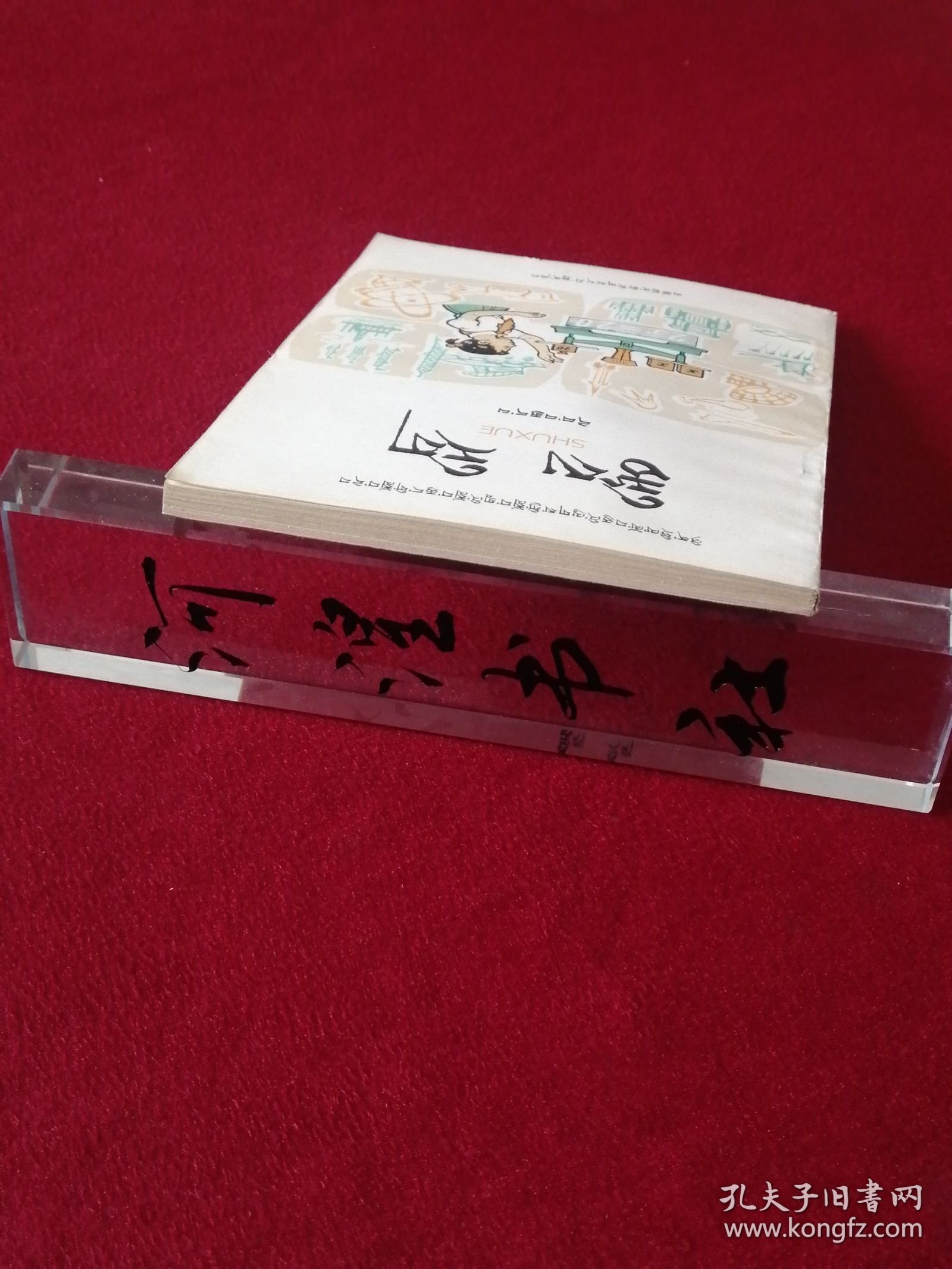 全日制十年制学校小学课本（试用本）数学第八册（藏文）