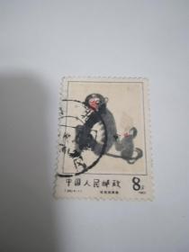 1983年猴票 给妈妈抓痒 邮票