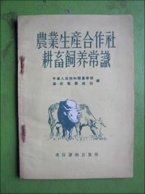 农业生产合作社耕畜饲养常识