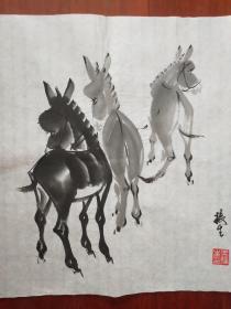 l当代画驴名家.王振生.小品.包真