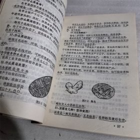 厨师必读  中国商业出版社