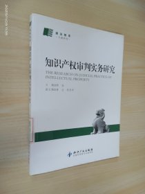 知识产权审判实务研究