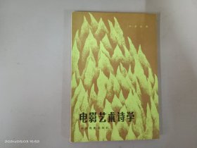 电影艺术诗学