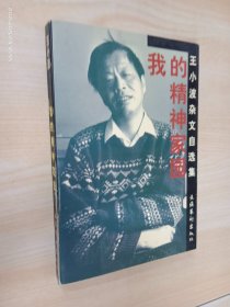 我的精神家园：王小波杂文自选集