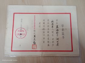 1956年   毕业证书