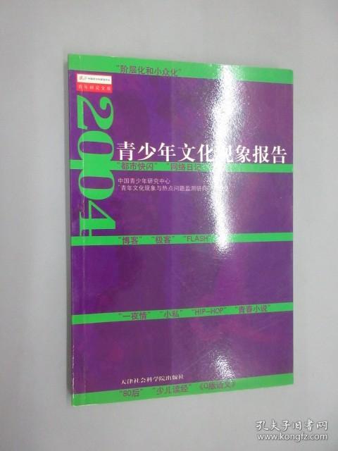 2004青少年文化现象报告