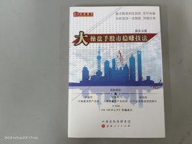 大操盘手股市稳赚技法