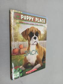 英文书：The Puppy Place 17：Jack（小狗地带17：杰克）平装 32开 80页